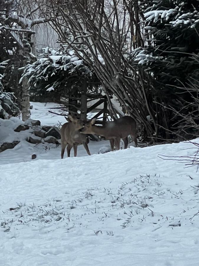 Le Chalet De Juliette Gérardmer Esterno foto